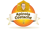 APICOLA COSTACHE